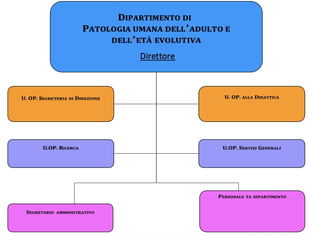 Organigramma del Dipartimento